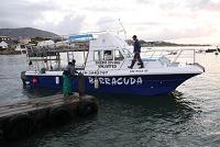 L'imbarcazione Barracuda