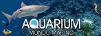 Mondo Marino Aquarium