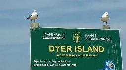 Dyier Island 
