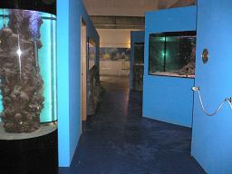 Aquarium Mondo Marino - Massa Marittima (Grosseto)
