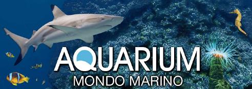 QUI... per visitare il sito di Aquarium Mondo Marino