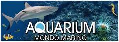 Aquarium Mondo Marino - Massa marittima Grosseto