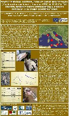 studio ufficiale sulla presenza degli Squali bianchi lungo le coste italiane dal 1600 al 2009