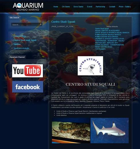 Le attività di studio e ricerca svolte in SudAfrica  dal Centro Studi Squali dell’Aquarium Mondo Marino