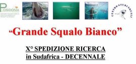 Anche le Università di Siena, Cosenza e Stellenbosch con la X^ Spedizione Scientifica sugli squali bianchi in SudAfrica