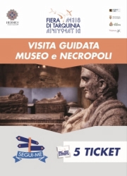 Visita Guidata al Museo e NecropoliGiulio