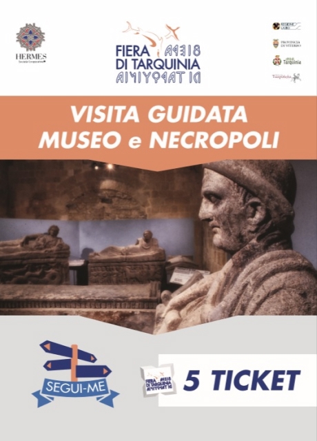 Visita Guidata al Museo e Necropoli 