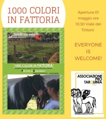 1000 colori in fattoria a Tarquinia Lido
